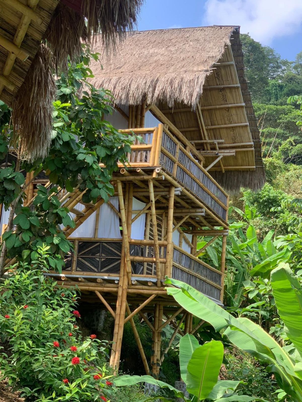 Niuwi Hostel Buritaca Exterior photo