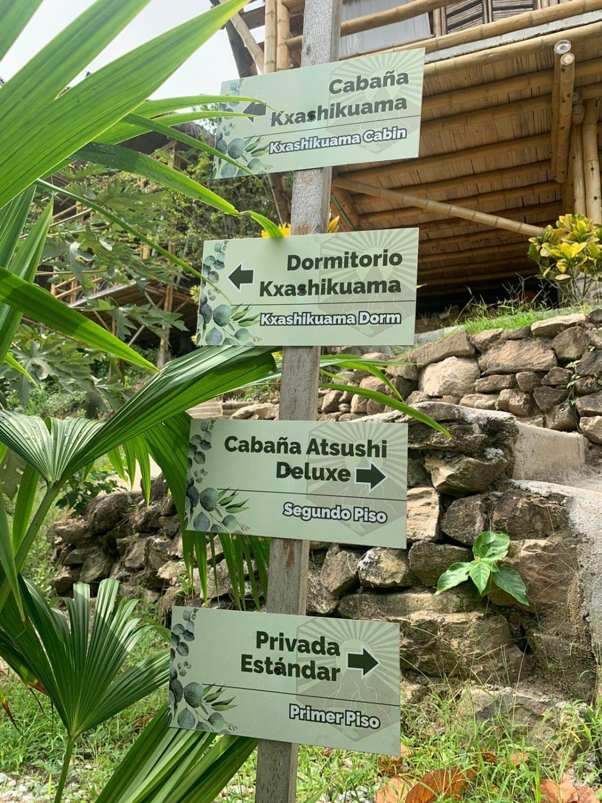 Niuwi Hostel Buritaca Exterior photo